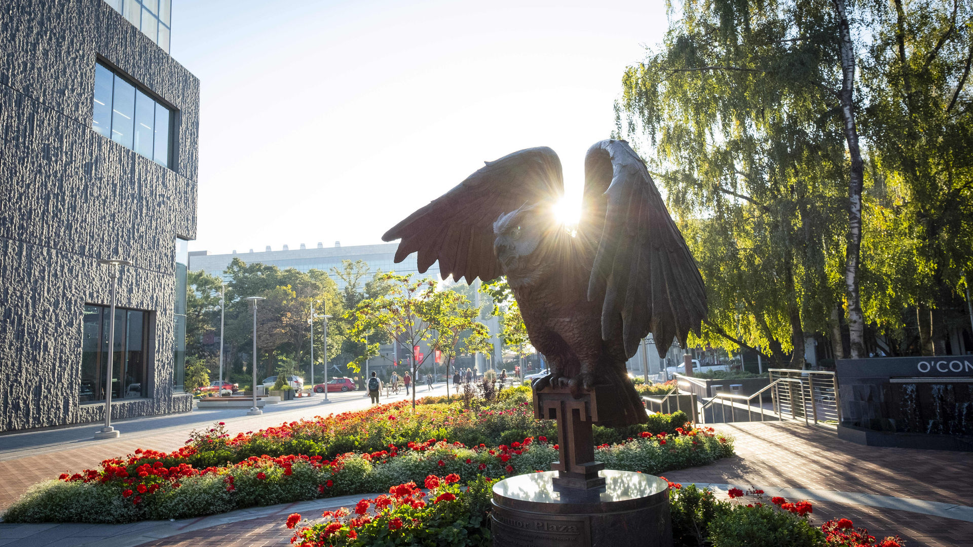 Owl Statue