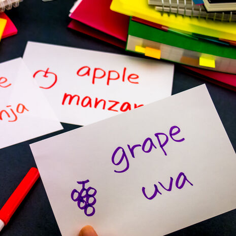 language flash cards