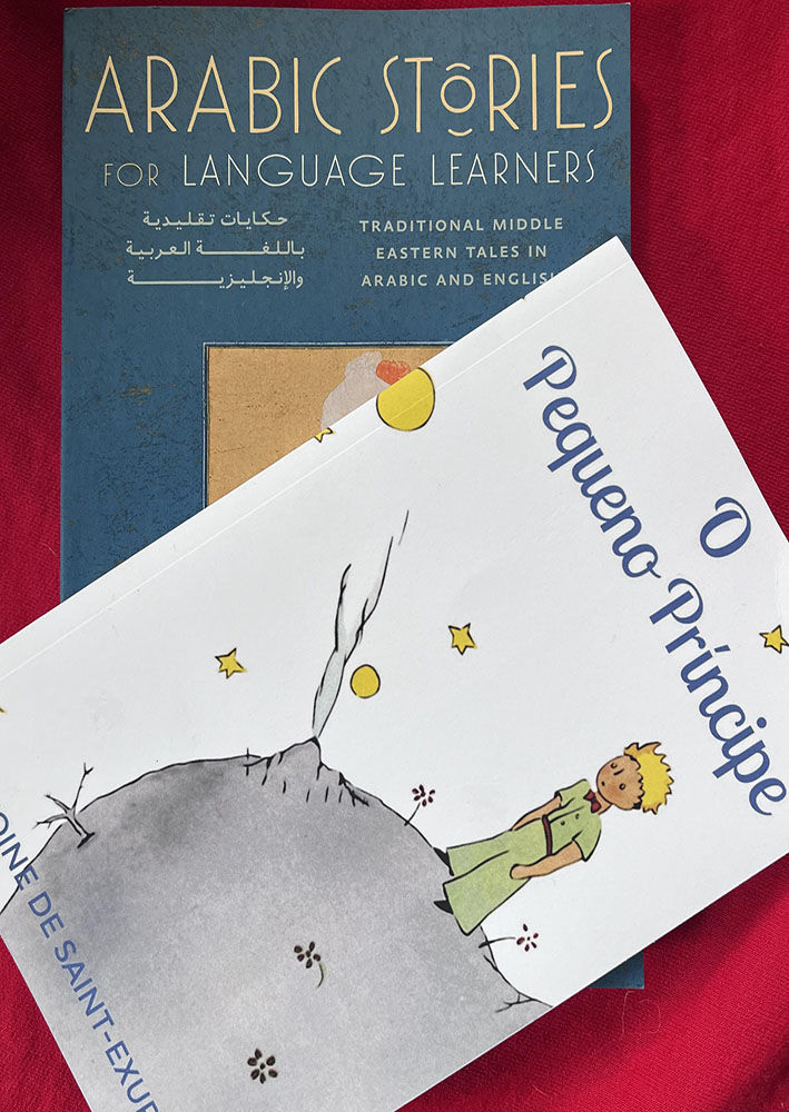 Photo of books written for multi-lingual learners