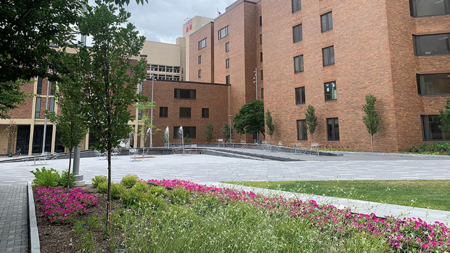 Ritter Annex in background with new landscaping and hardscaping - a fountain and colorful garden