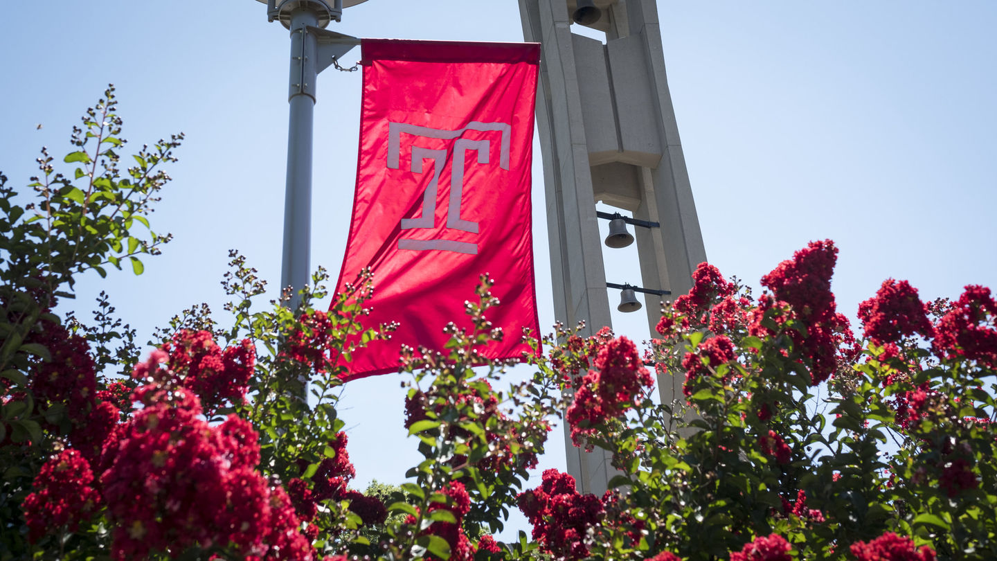Looking up from a bed of red-colored flowers at the Temple T lamppost flag and the Bell Tower against a clear blue sky