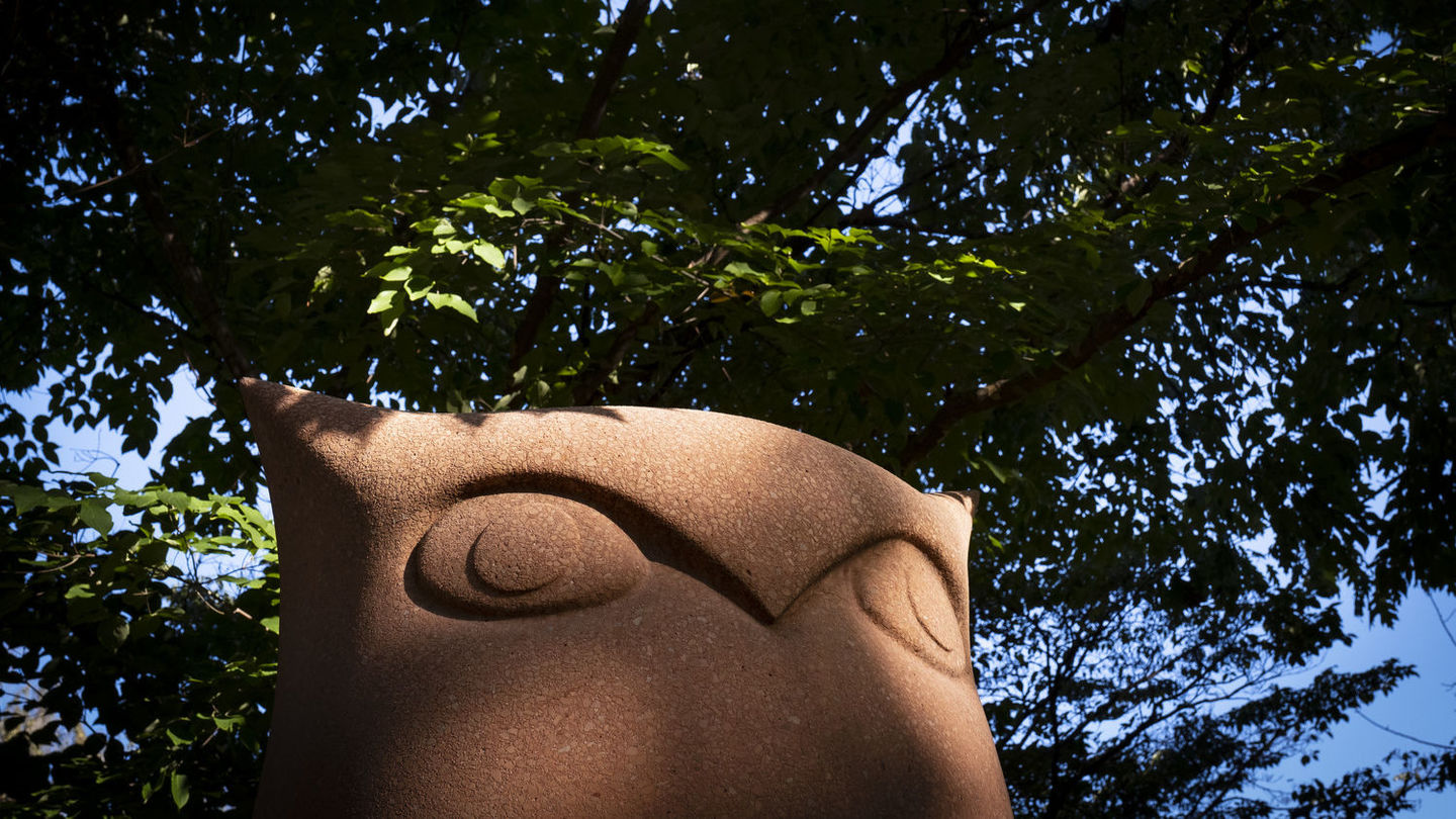 Looking up at the Owl sculpture in Alumni Circle with some spots of sun and shade as the sun peeks through a tree