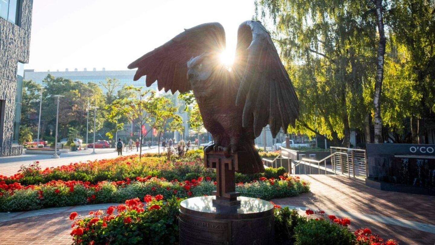 Temple Owl Statue