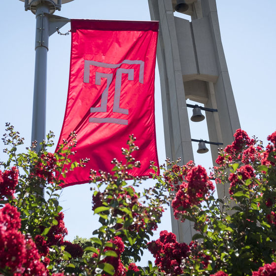 Looking up from a bed of red-colored flowers at the Temple T lamppost flag and the Bell Tower against a clear blue sky