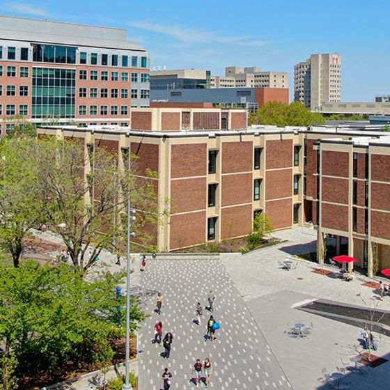 Aerial view of students walking on brick-paved path near Ritter Hall, a brick building. The sky is bright blue. There are trees by the path and a water feature.