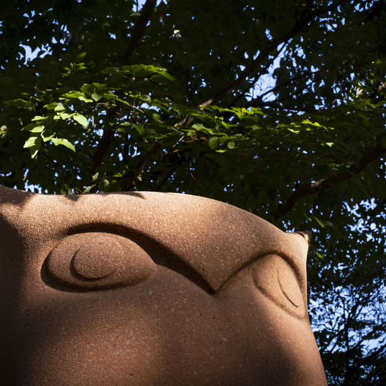 Looking up at the Owl sculpture in Alumni Circle with some spots of sun and shade as the sun peeks through a tree