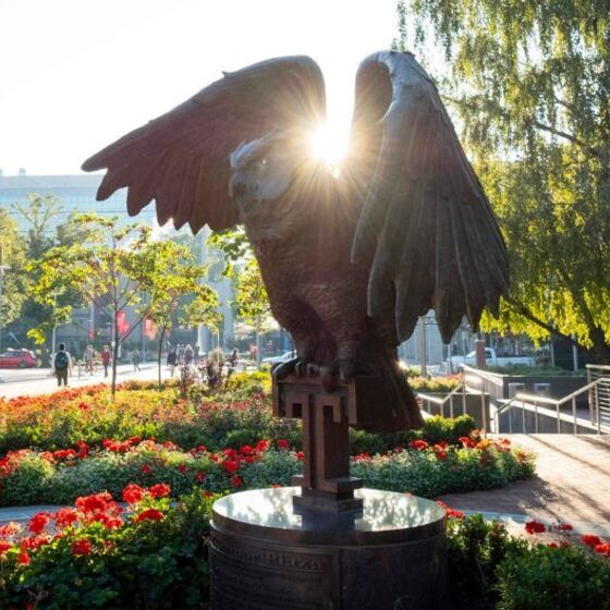 Temple Owl Statue